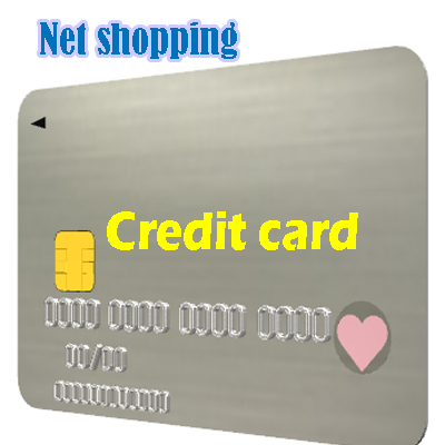 Net shopping　Credit cards